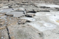P1010580